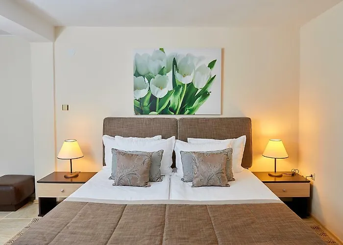 Venus 2* Sluneční pobřeží