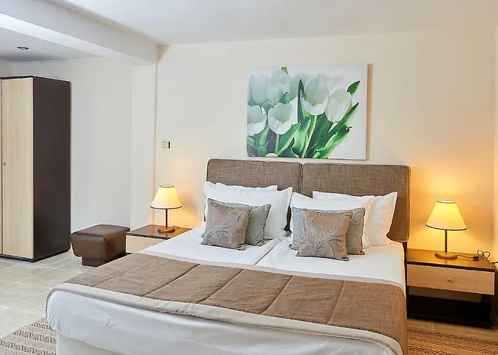 Hotel Venus Sunny Beach